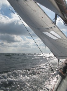ahoi segelschule, segeln lernen am Steinhuder Meer